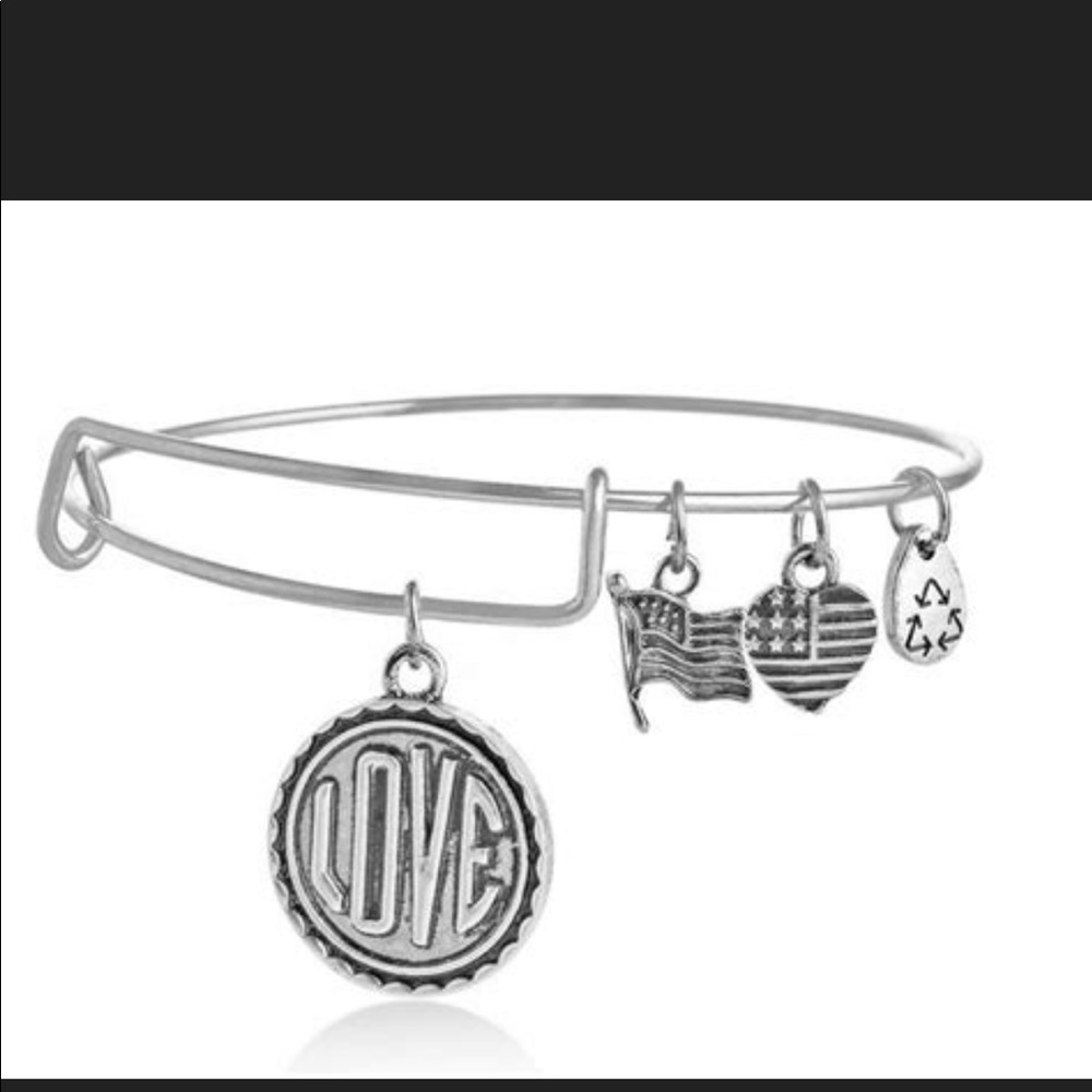 Alex and Ani Silver love bracelet